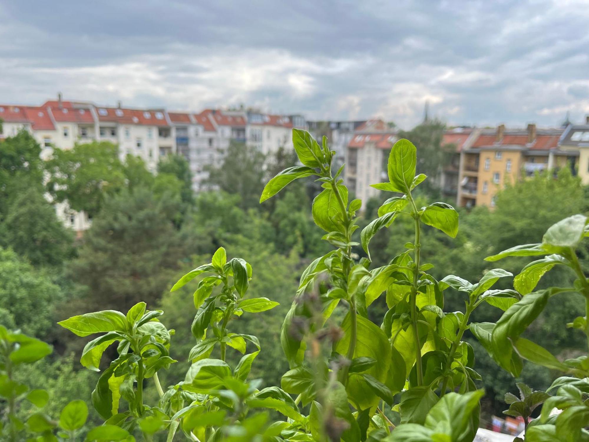 Nach Oben Fuer Zwei * Leipzig